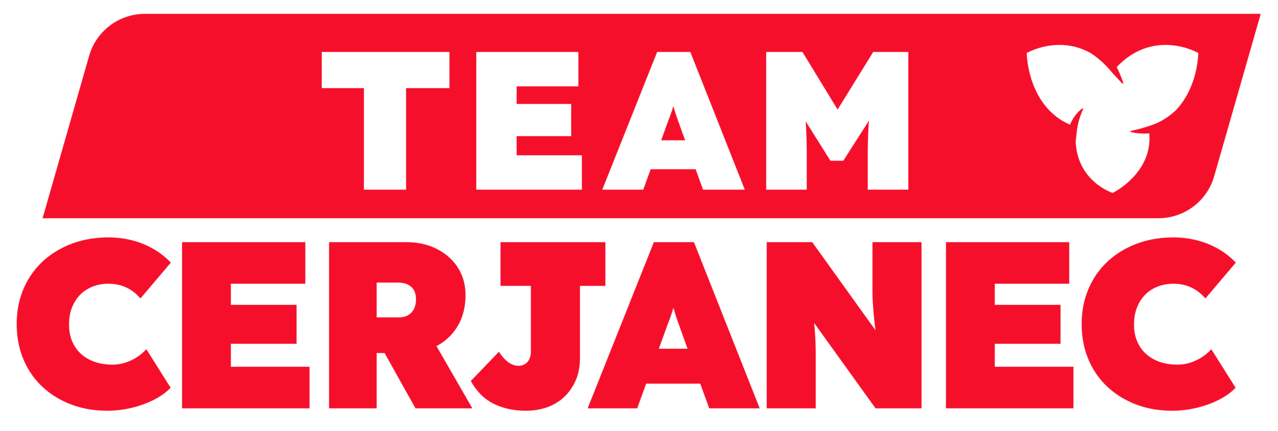 Team Cerjanec